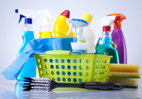 Domestic cleaning tools ready for a property visit in N19