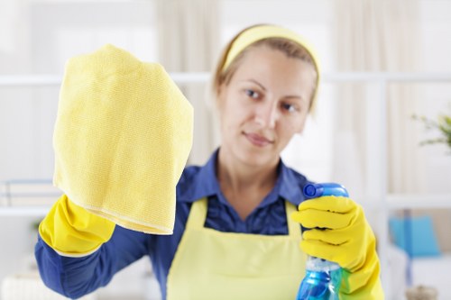 Professional sofa cleaning service for a local N19 home