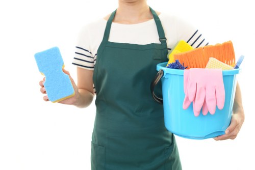 Professional rug cleaning service for homes in N19