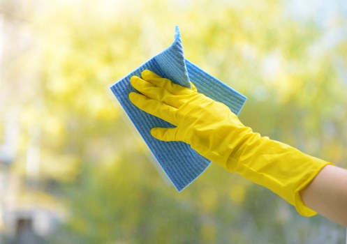 Carpet cleaning service for homes in N19 with local property access considerations