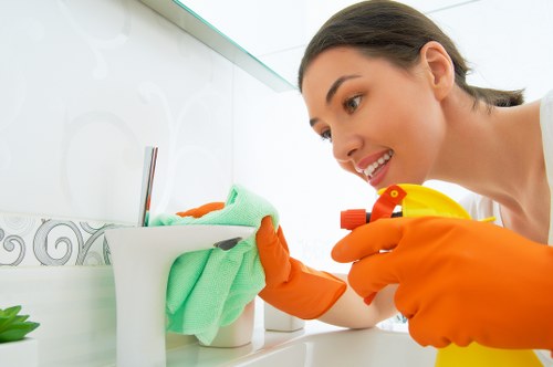 Domestic cleaning support for busy households in N19
