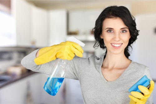 Deep cleaning support for a property in the N19 area