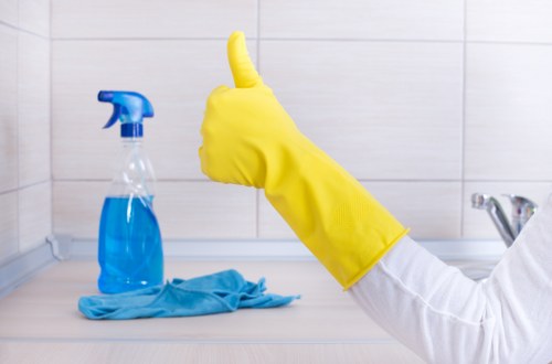 Professional window cleaning equipment for homes and flats