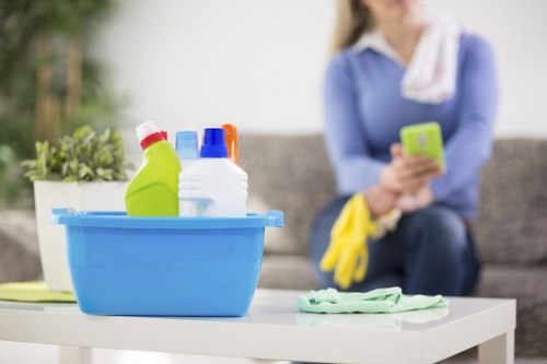 Domestic cleaning supplies ready for a kitchen and bathroom clean