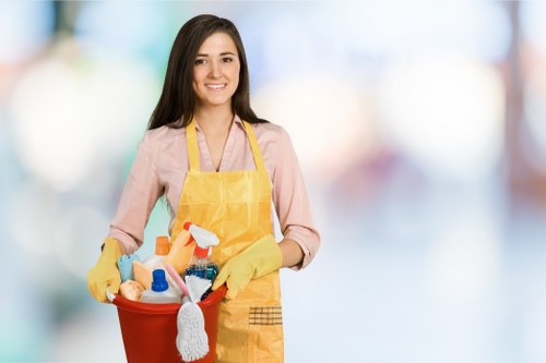 Upholstery cleaning equipment in a N19 property