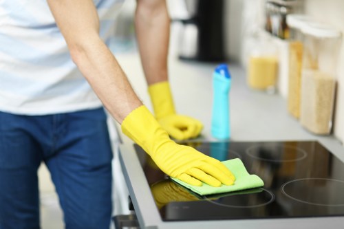 Regular house cleaning for a family home in N19
