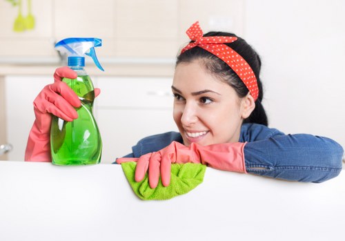 A professional cleaner serving homes and businesses in N19