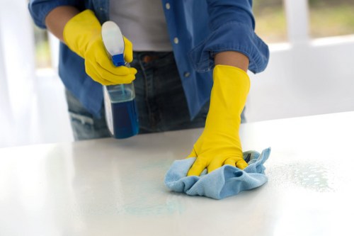 One-off cleaning for residential and commercial spaces in N19