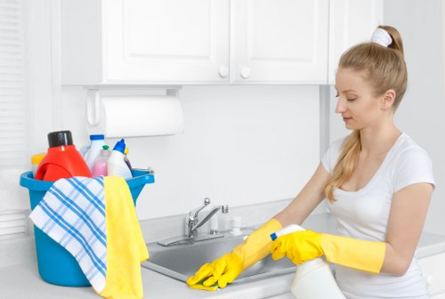Deep cleaning carpets in a flat or house in N19