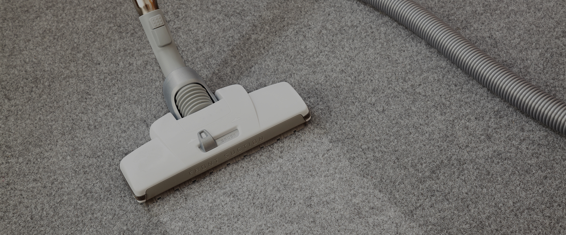 Carpet Cleaning N19